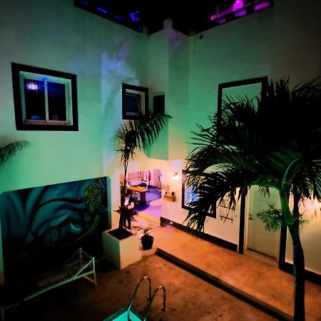 باياهيبي Tribe Inn Jungle & Flamingo المظهر الخارجي الصورة