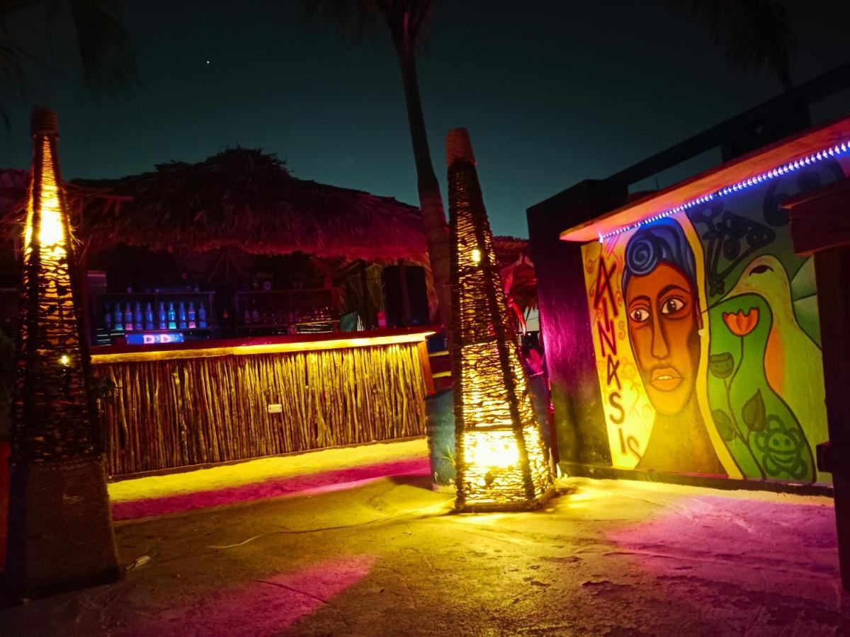 باياهيبي Tribe Inn Jungle & Flamingo المظهر الخارجي الصورة