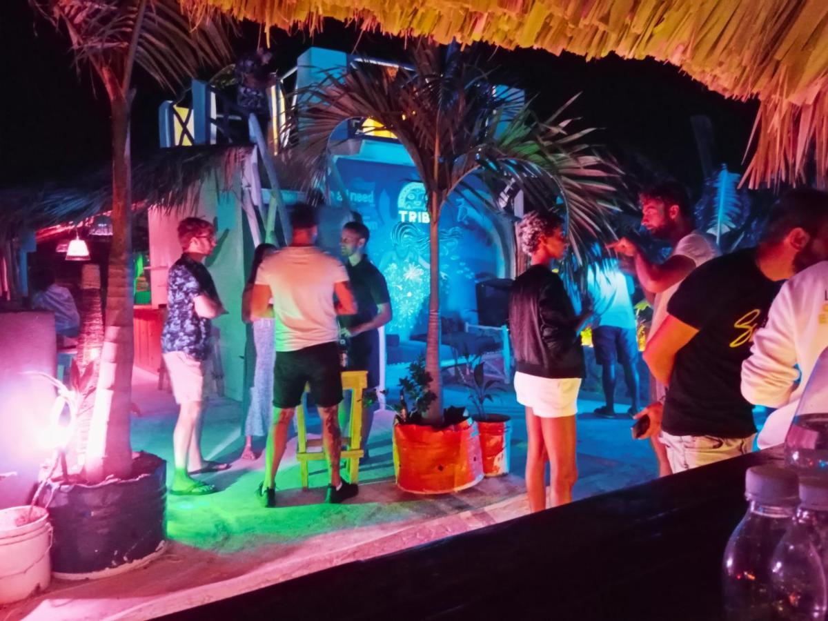 باياهيبي Tribe Inn Jungle & Flamingo المظهر الخارجي الصورة