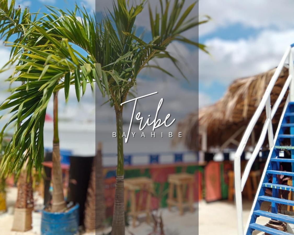 باياهيبي Tribe Inn Jungle & Flamingo المظهر الخارجي الصورة