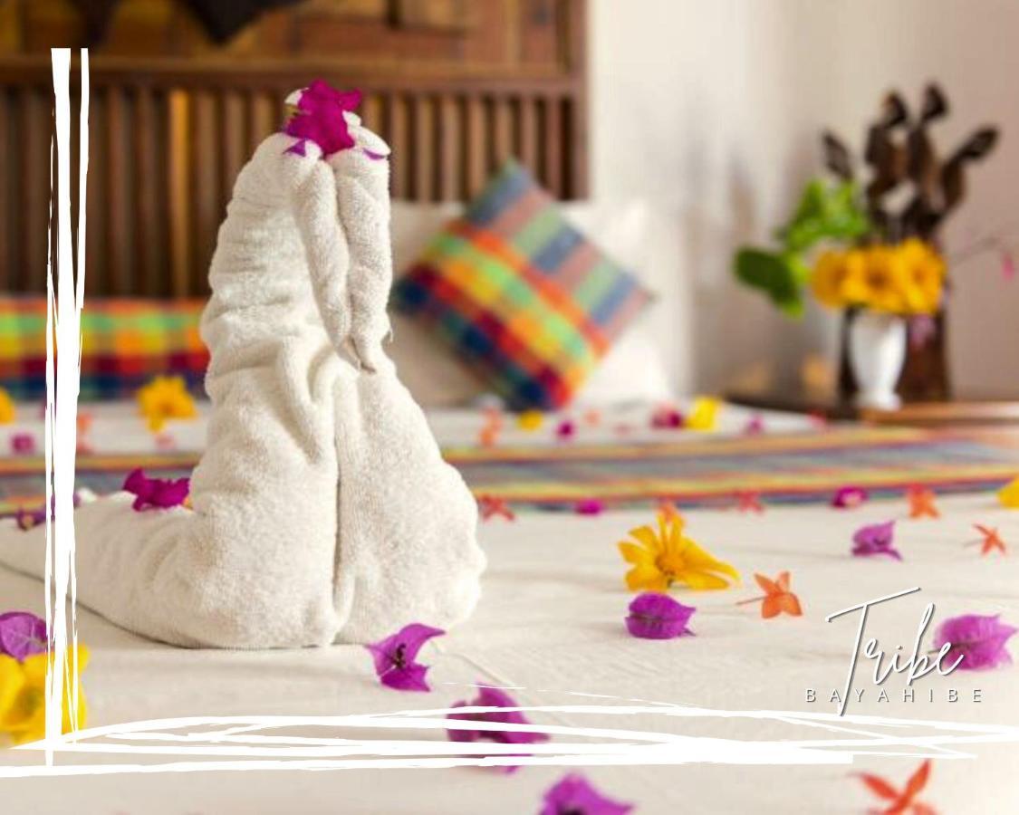 باياهيبي Tribe Inn Jungle & Flamingo المظهر الخارجي الصورة