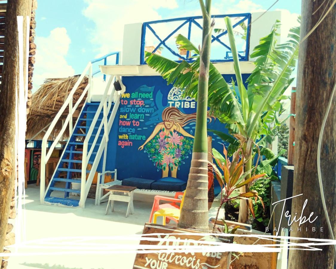 باياهيبي Tribe Inn Jungle & Flamingo المظهر الخارجي الصورة