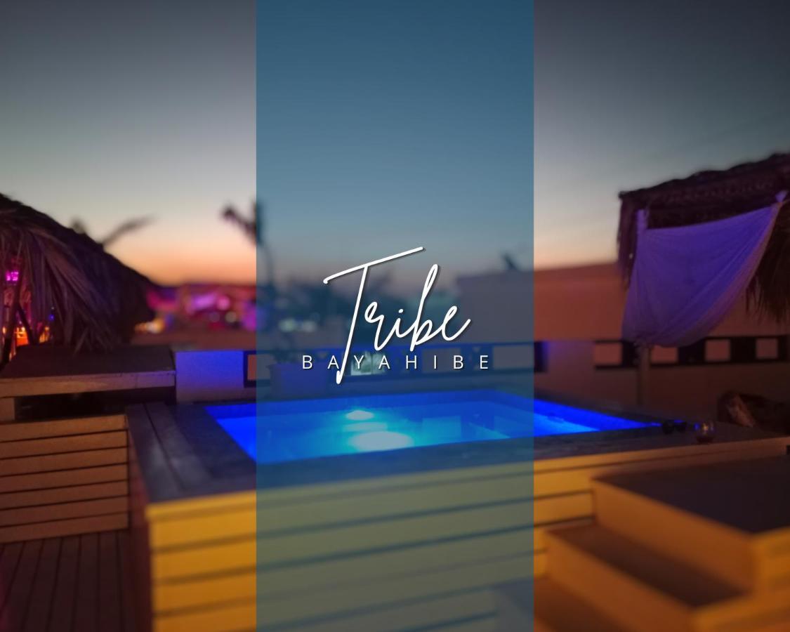 باياهيبي Tribe Inn Jungle & Flamingo المظهر الخارجي الصورة