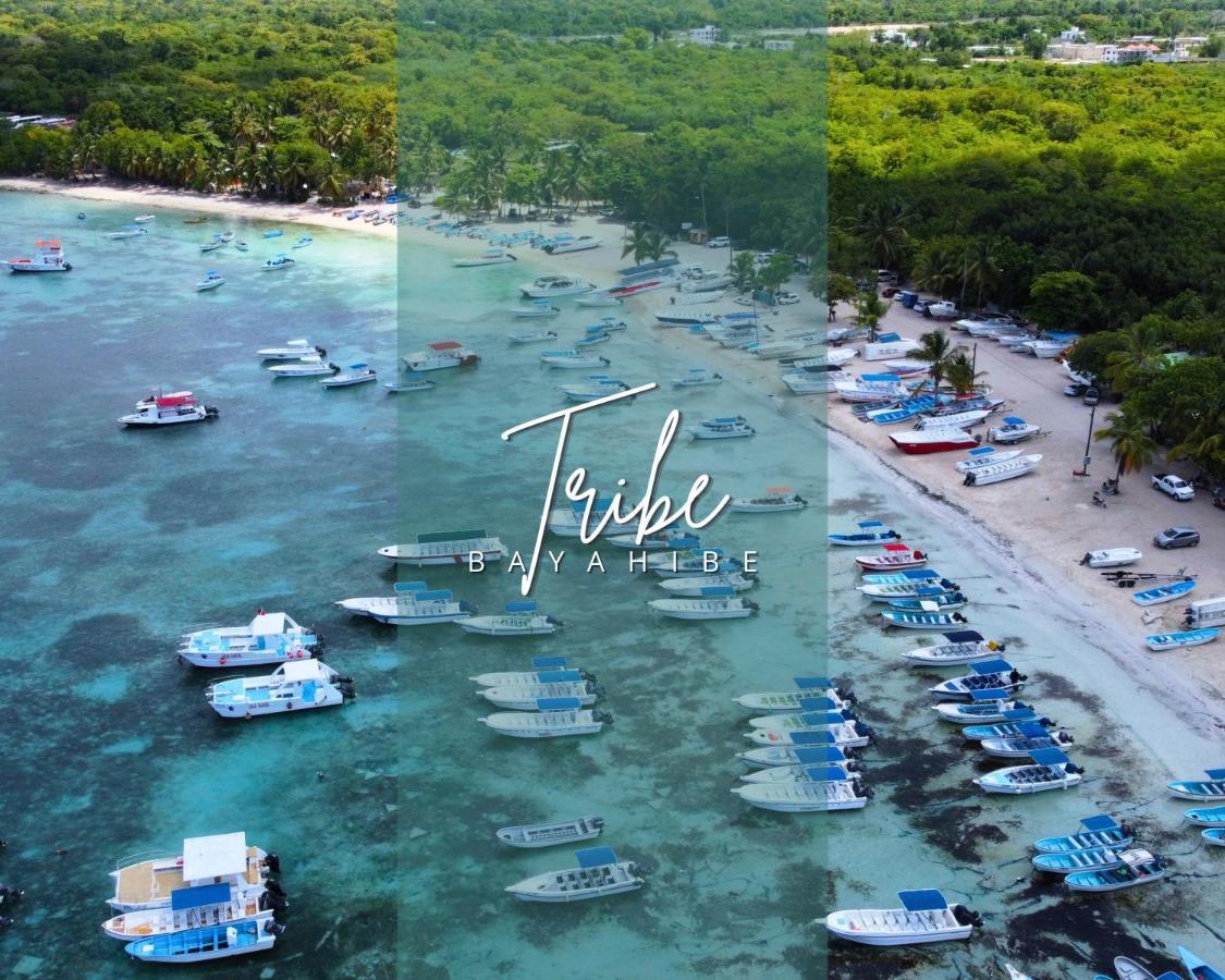 باياهيبي Tribe Inn Jungle & Flamingo المظهر الخارجي الصورة